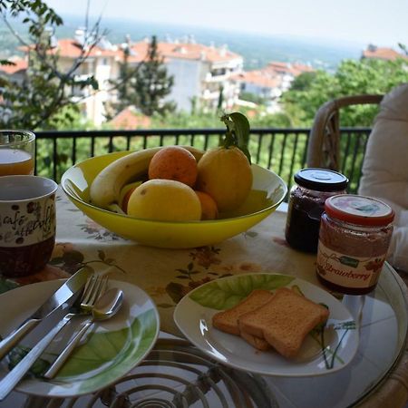 Small Apartment, Great View! Veria (Imathia) Exterior foto