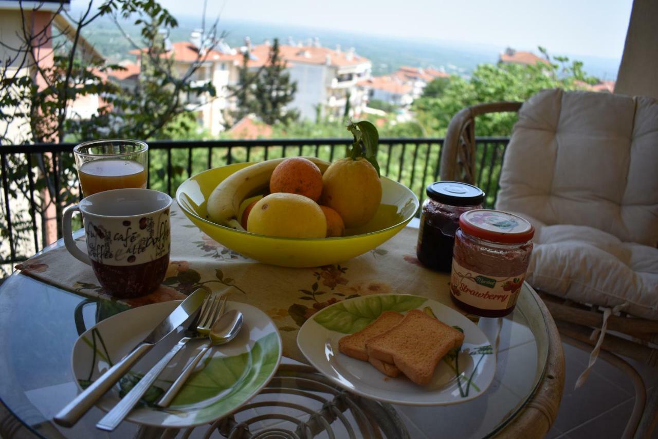 Small Apartment, Great View! Veria (Imathia) Exterior foto