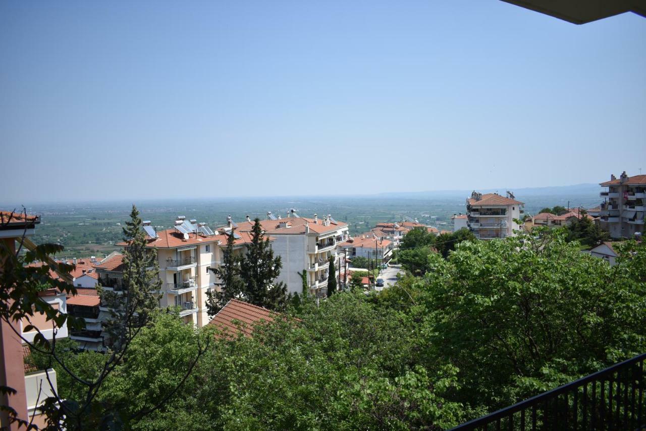 Small Apartment, Great View! Veria (Imathia) Exterior foto